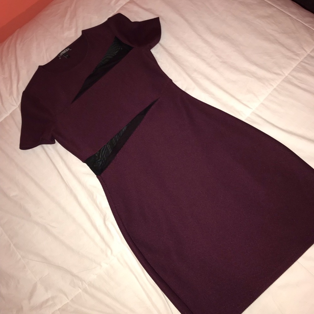 Express Bodycon Dress with Mesh Detail